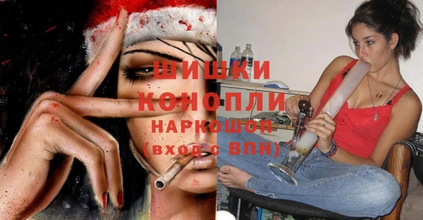бошки Алексин