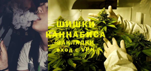 бошки Алексин