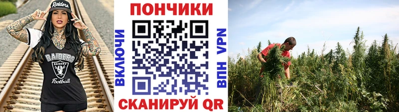 Канабис Bruce Banner  купить закладку  кракен   Томмот 